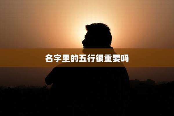 名字里的五行很重要吗