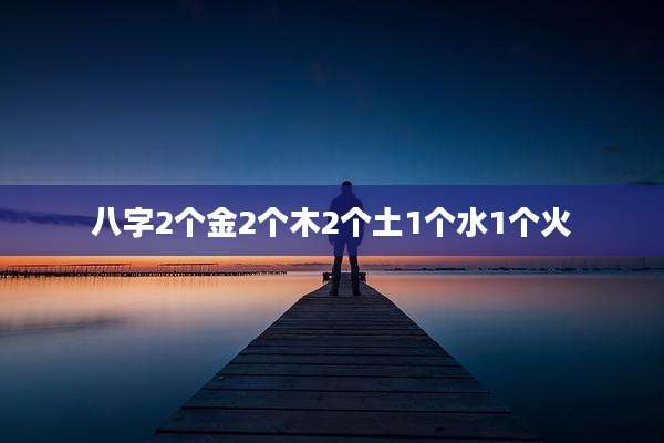 八字2个金2个木2个土1个水1个火