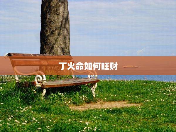 丁火命如何旺财