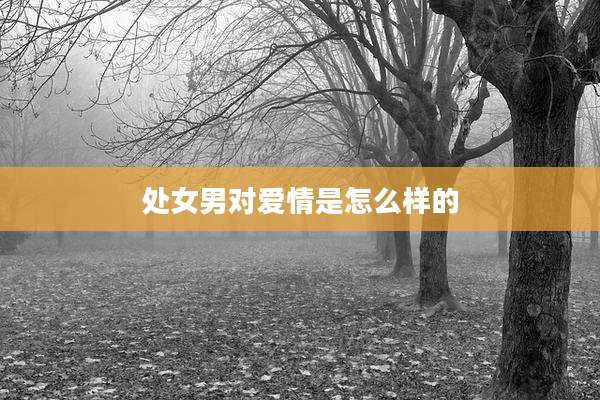 处女男对爱情是怎么样的