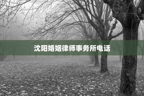 沈阳婚姻律师事务所电话