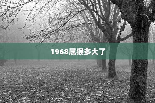1968属猴多大了