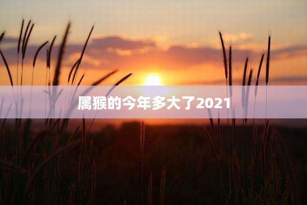 属猴的今年多大了2021