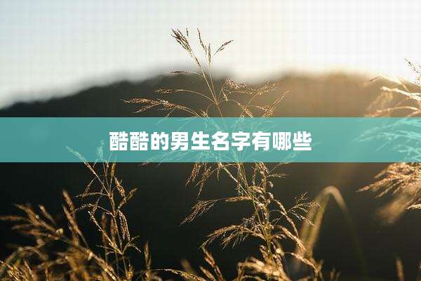 酷酷的男生名字有哪些