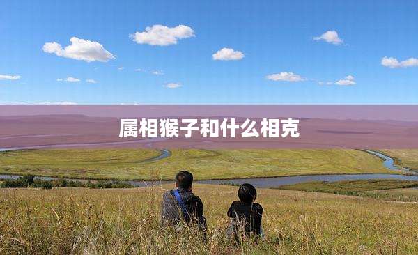 属相猴子和什么相克