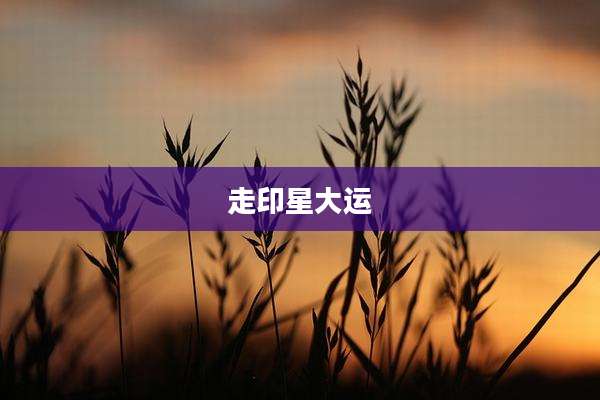 走印星大运
