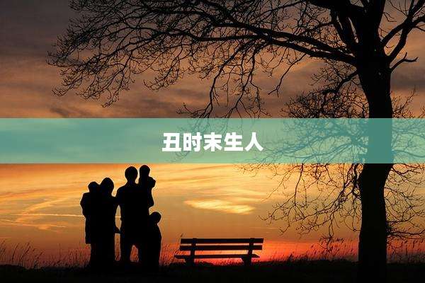 丑时末生人