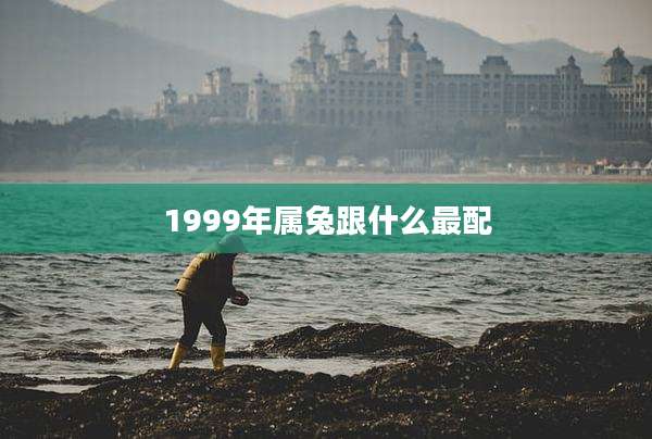 1999年属兔跟什么最配