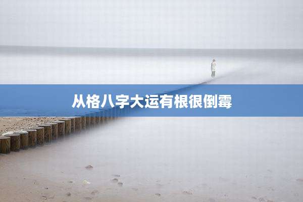 从格八字大运有根很倒霉