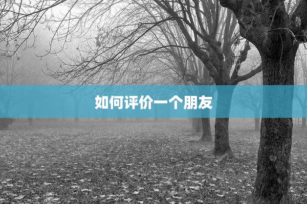 如何评价一个朋友