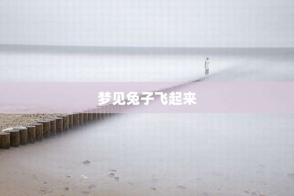 梦见兔子飞起来