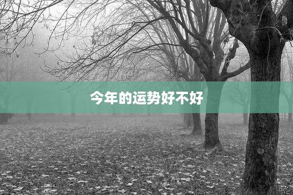 今年的运势好不好