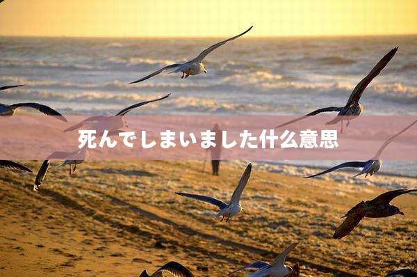 死んでしまいました什么意思