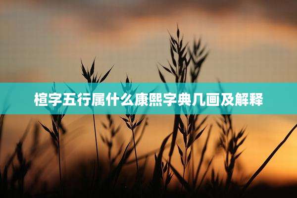 楦字五行属什么康熙字典几画及解释