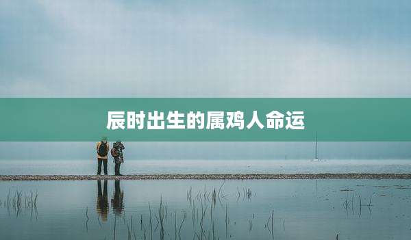 辰时出生的属鸡人命运