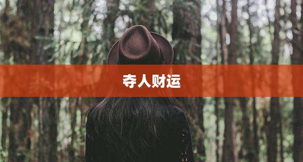 夺人财运