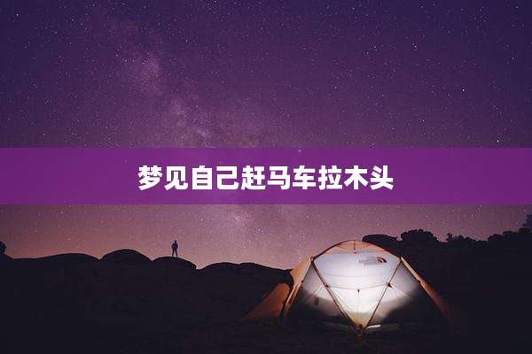 梦见自己赶马车拉木头