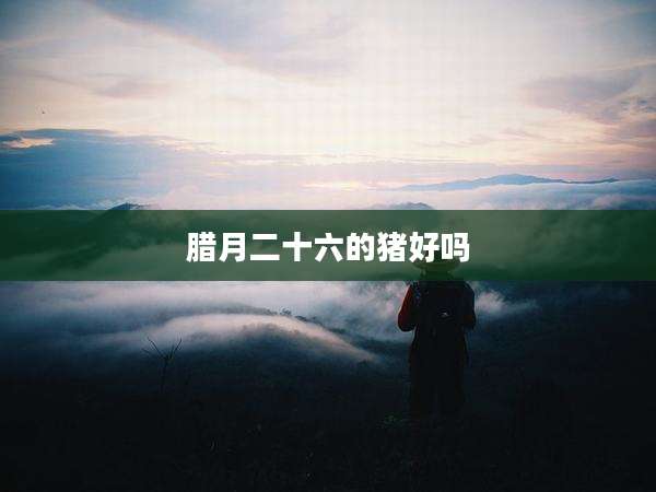 腊月二十六的猪好吗