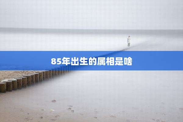 85年出生的属相是啥