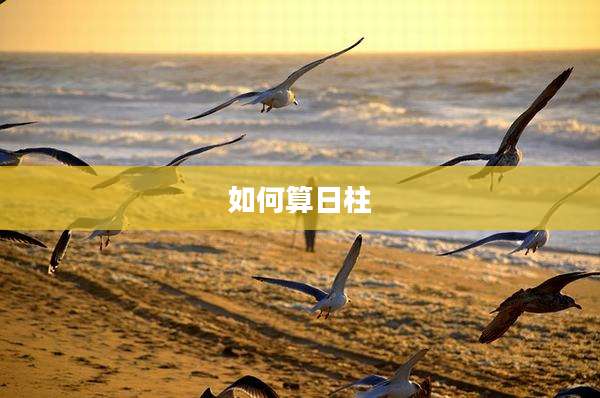 如何算日柱