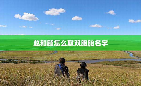 赵和顾怎么取双胞胎名字