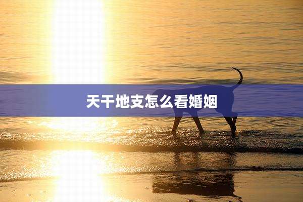 天干地支怎么看婚姻