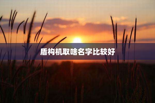 盾构机取啥名字比较好