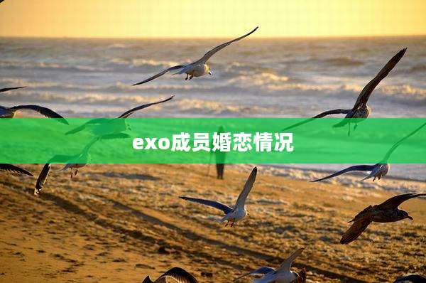 exo成员婚恋情况