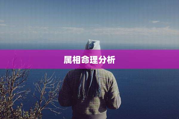 属相命理分析