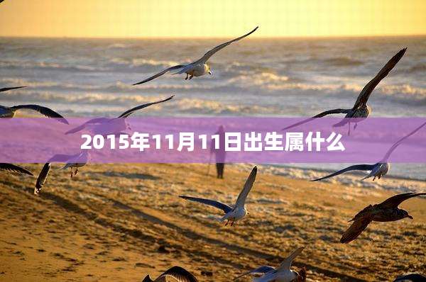 2015年11月11日出生属什么