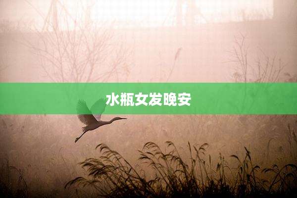 水瓶女发晚安