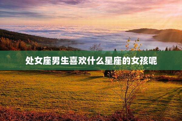 处女座男生喜欢什么星座的女孩呢