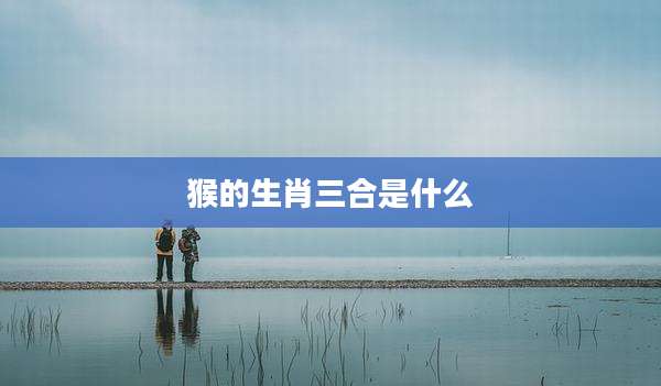 猴的生肖三合是什么