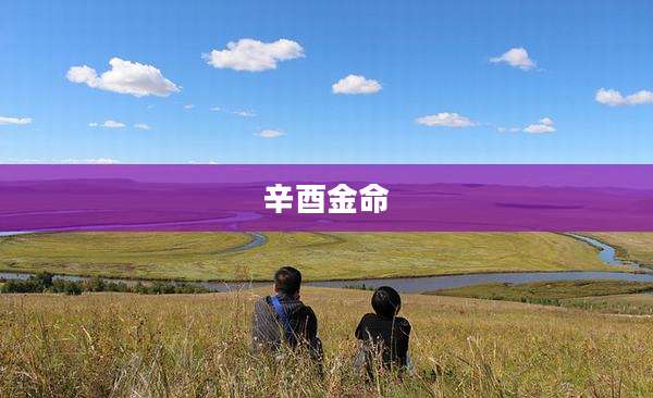 辛酉金命