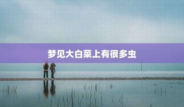 梦见大白菜上有很多虫