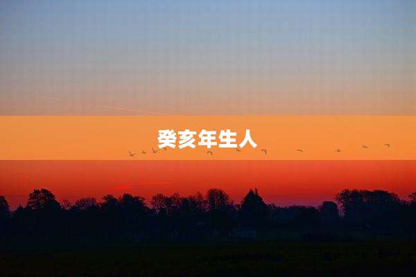 癸亥年生人