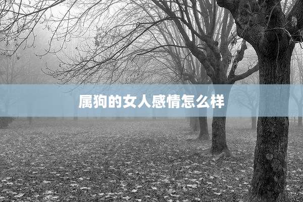 属狗的女人感情怎么样