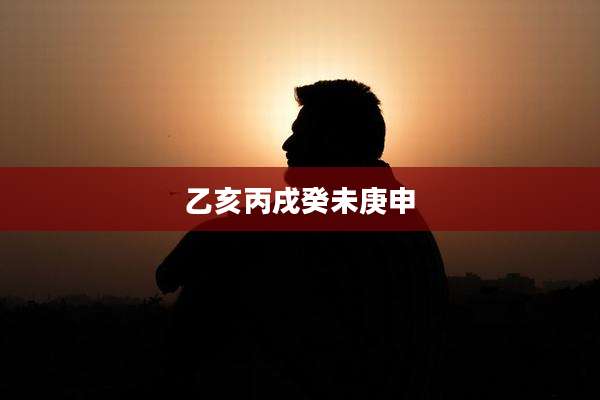 乙亥丙戌癸未庚申