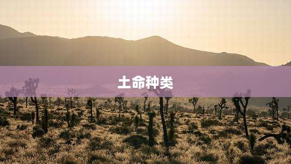 土命种类