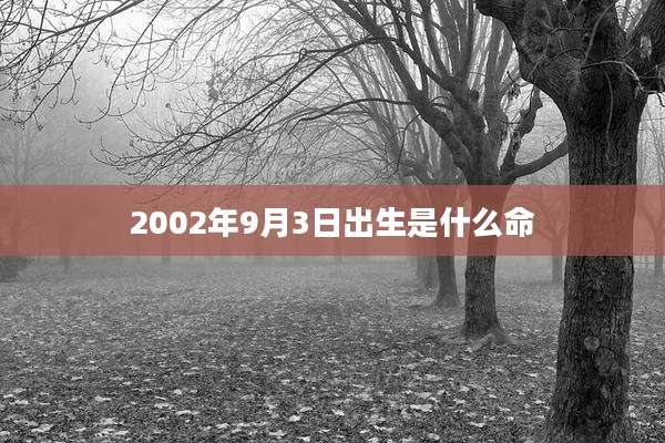 2002年9月3日出生是什么命