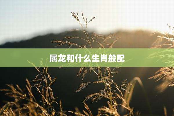 属龙和什么生肖般配