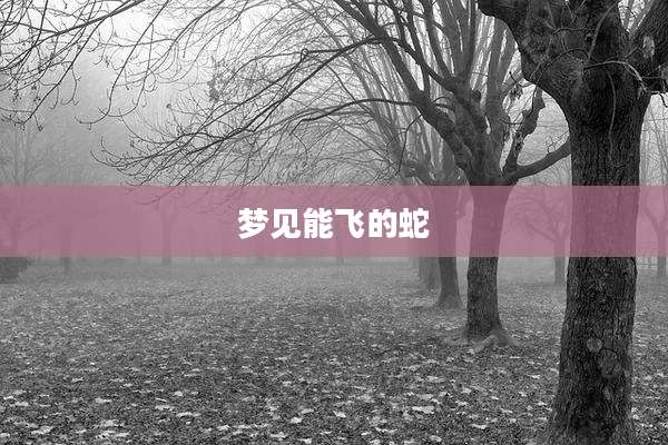 梦见能飞的蛇