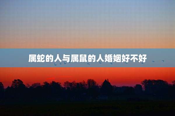 属蛇的人与属鼠的人婚姻好不好