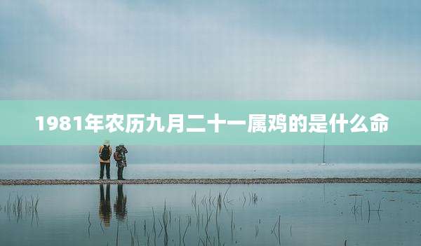 1981年农历九月二十一属鸡的是什么命