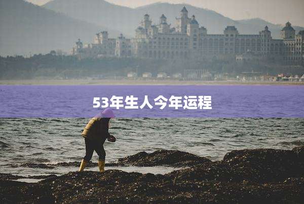 53年生人今年运程