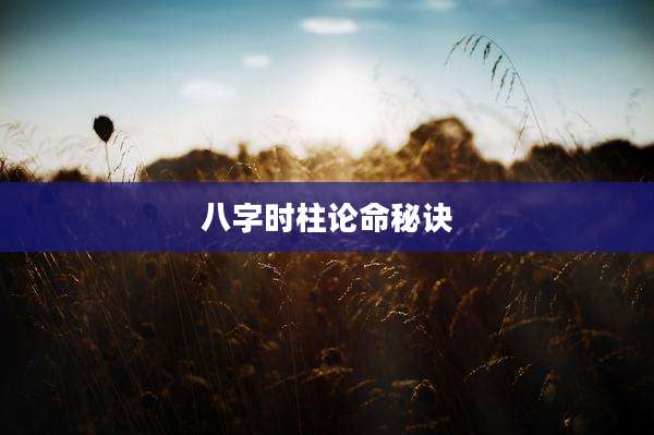 八字时柱论命秘诀