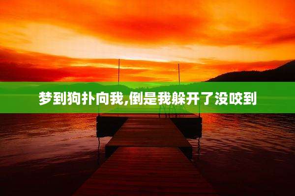 梦到狗扑向我,倒是我躲开了没咬到