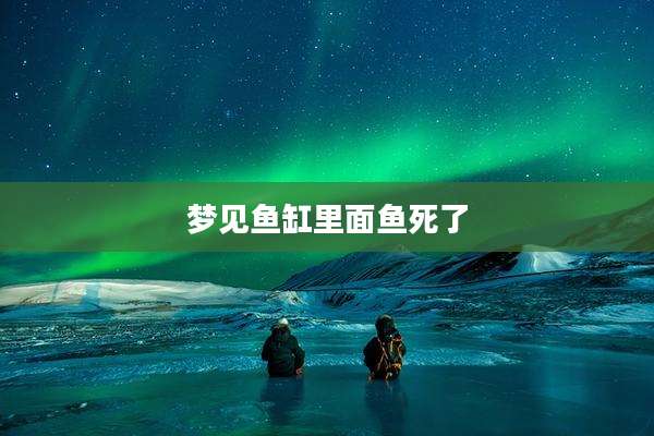 梦见鱼缸里面鱼死了