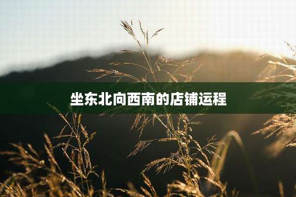 坐东北向西南的店铺运程