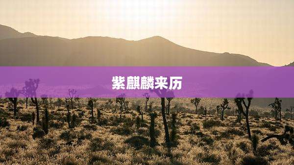 紫麒麟来历